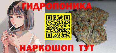 марихуана Новодвинск