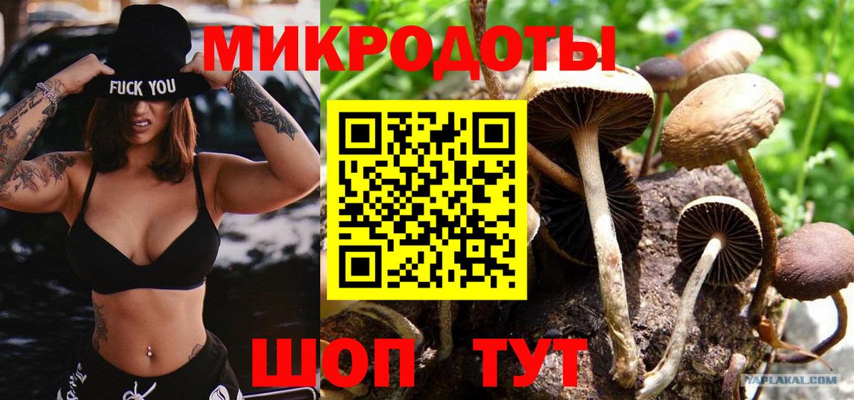 Псилоцибиновые грибы мухоморы  Вход с VPN  Ачхой-Мартан 